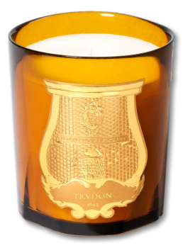 Trudon Scented Candle - Altair Collection 270g