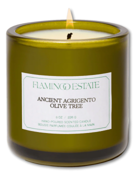 Flamingo Estate Ancient Agrigento Olive Tree Candle 226g