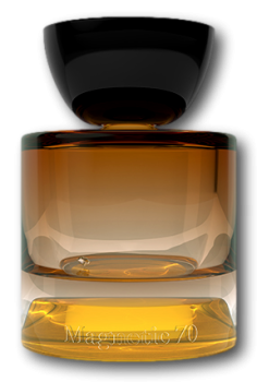 Vyrao Magnetic 70 Eau du Parfum 50ml